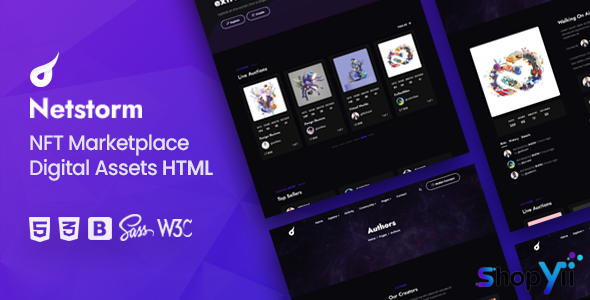 Netstorm v1.0 - NFT Marketplace HTML Template