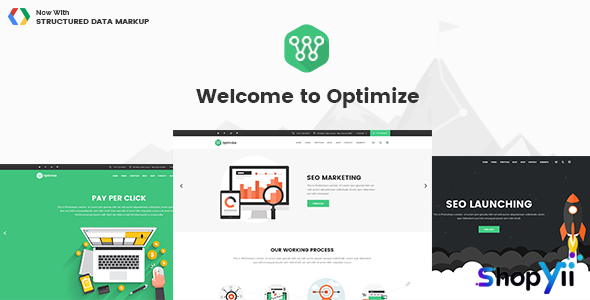Optimize v2.1 - SEO & Social Media Theme
