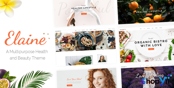 Elaine v1.6 - Modern Beauty Theme