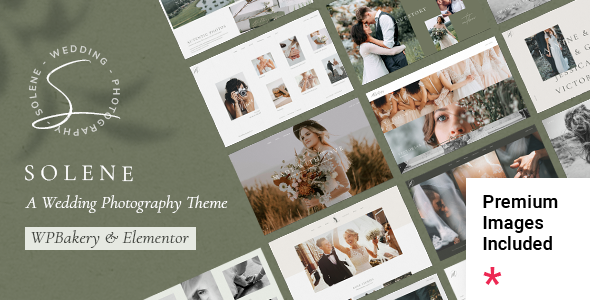 Solene v2.2.1 - Wedding Photography Theme