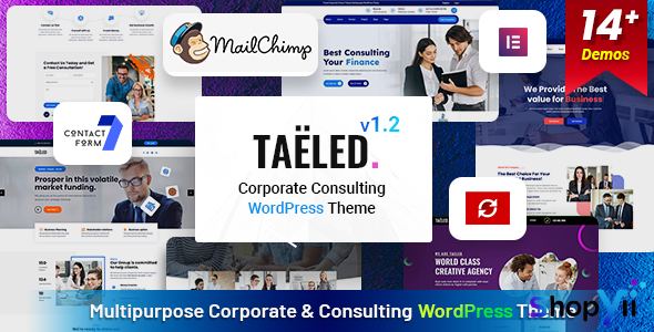 TAELED v1.2 - Business Consulting
