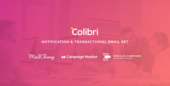 Colibri v1.0 - Notification & Transactional Email Templates with Online Builder