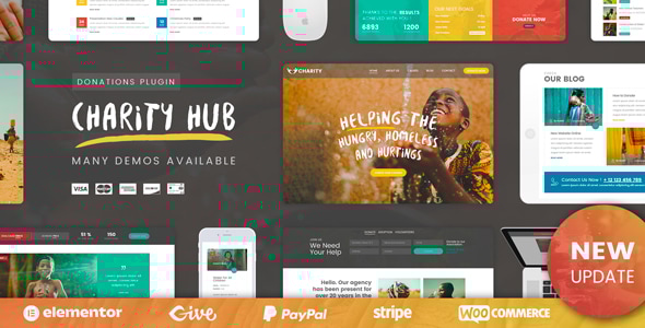 Charity Foundation v2.2 - Charity Hub WP Theme