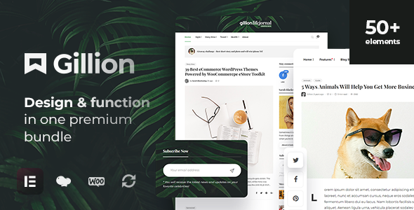 Gillion v4.0 - Multi-Concept Blog/Magazine & Shop WordPress Theme