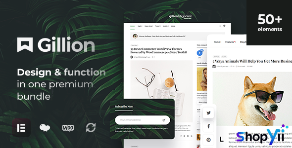 Gillion v4.0.2 - Multi-Concept Blog/Magazine & Shop WordPress Theme