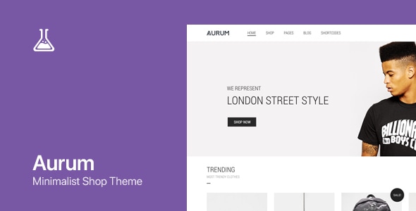 Aurum v3.8 - Minimalist Shopping Theme