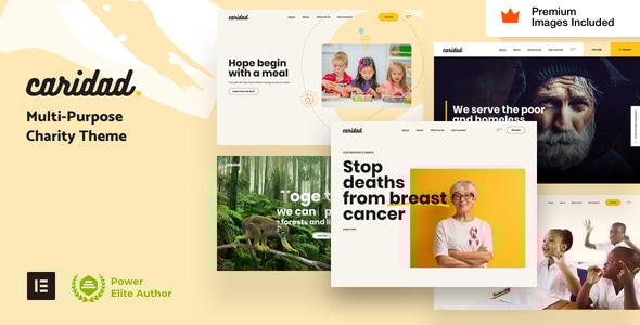 Caridad v2.1 - Charity WordPress