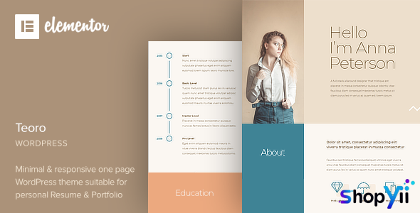 Teoro v1.0 - CV Resume WordPress Theme
