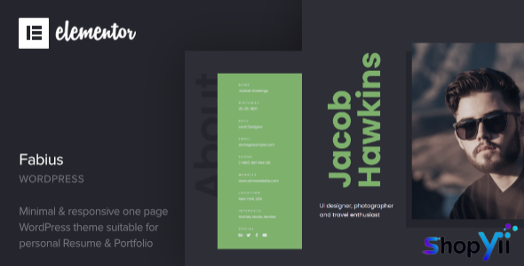 Fabius v1.0 - Resume WordPress Theme