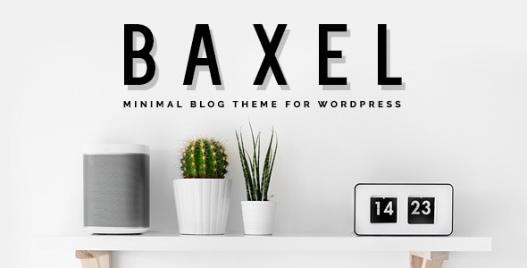 Baxel v4.1 - Minimal Blog Theme for WordPress
