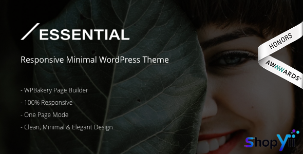 Essential v3.0 - Responsive Minimal WordPress Theme