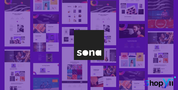 Sona v1.1.0 - Digital Marketing Agency WordPress