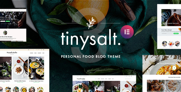 TinySalt v3.0.0 - Personal Food Blog WordPress Theme