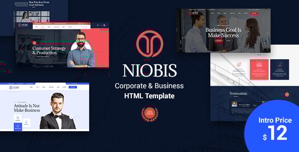 NioBis - Corporate Consulting Template