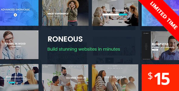 Roneous v1.8 - Creative Multi-Purpose WordPress Theme