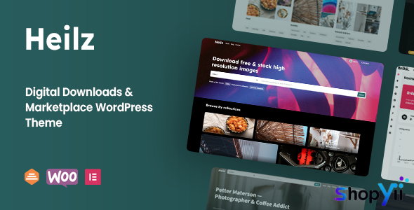 Heilz v1.0 - Digital Downloads & Marketplace WordPress Theme
