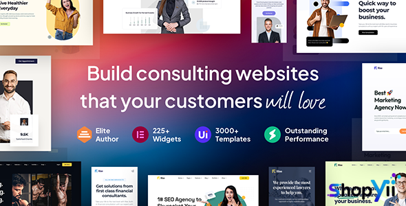 Rise v1.0.0 - Business & Consulting WordPress Theme