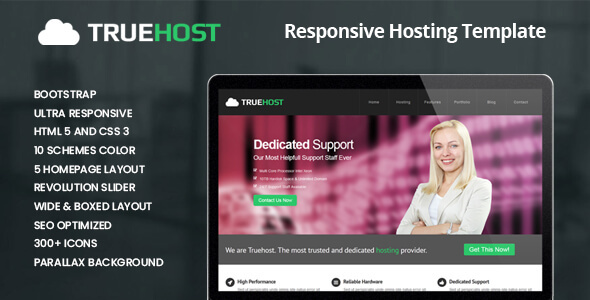 Truehost v1.1.0 - Responsive HTML5 Hosting Template