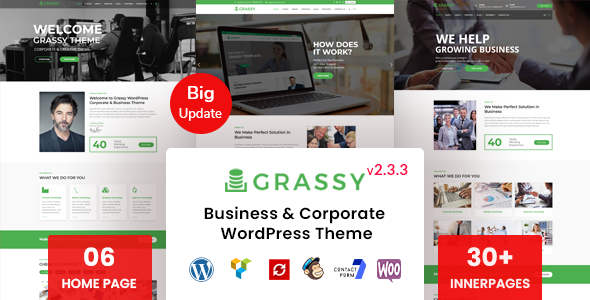 Grassy v1.4 - Business WordPress Theme
