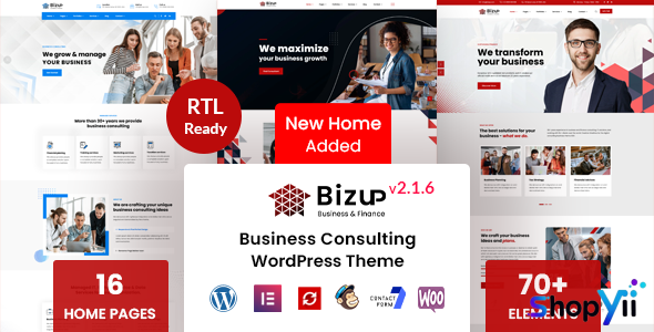 Bizup v2.0.4 - Business Consulting WordPress Theme