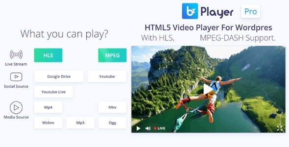 bzplayer Pro v2.1 - Live Streaming Player Plugin