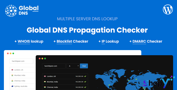 Global DNS v1.0 - Multiple Server - DNS Propagation Checker