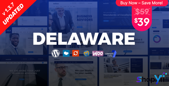Delaware v1.1.5 - Consulting and Finance WordPress Theme