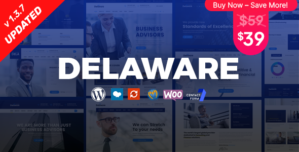 Delaware v1.1.1 - Consulting and Finance WordPress Theme
