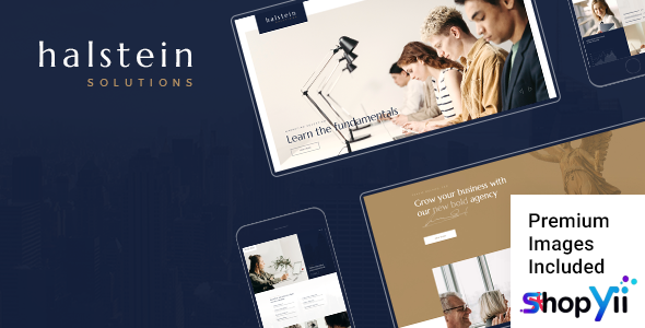 Halstein v1.1 - Business Consulting