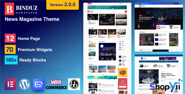 Binduz v1.3 - WordPress News Magazine Theme
