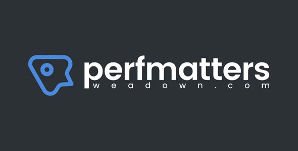 Perfmatters 2.4.5 – Lightweight WordPress Performance Plugin