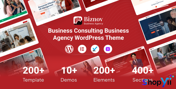 Biznov v1.0.0 - Business Consulting WordPress Theme