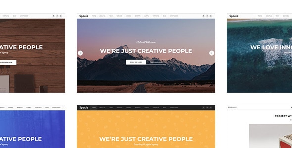 Spacia v2.0 - One Page Parallax Theme