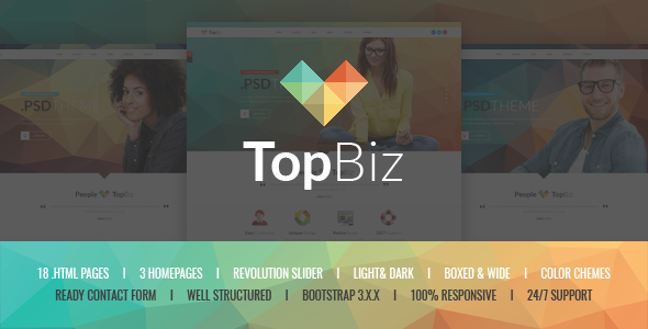 TopBiz v1.0 - Responsive Corporate HTML5 Template