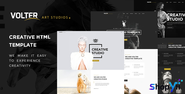 Volter - Creative Multipurpose HTML Template
