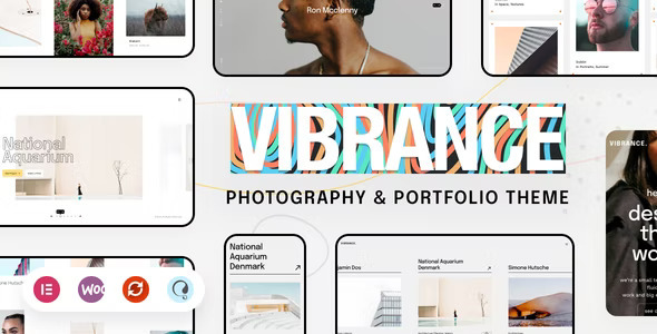 Vibrance v1.0.2 - Photography Theme