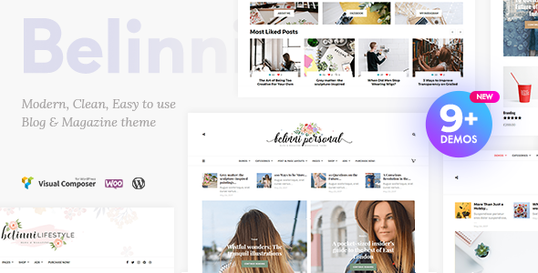 Belinni v1.4.0 - Multi-Concept Blog / Magazine WordPress Theme