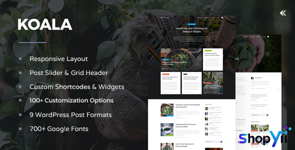 Koala v4.1.1 - Responsive WordPress Blog Theme