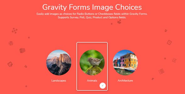 Gravity Forms Image Choices 1.6.6
