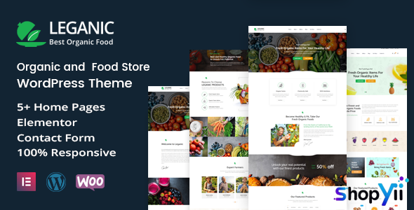 Leganic v1.2 - Organic and Food Store WordPress Theme