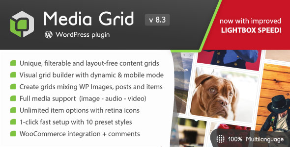Media Grid v6.491 - WordPress Responsive Portfolio
