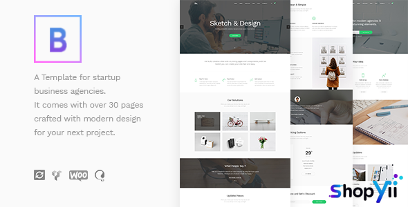 BoTheme v1.3.1 - Startup Business WordPress Theme