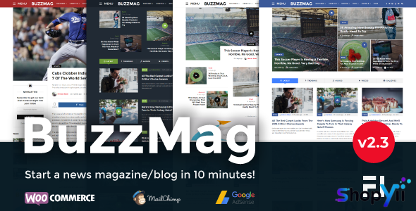 BuzzMag v2.1 - Viral News WordPress Magazine/Blog Theme