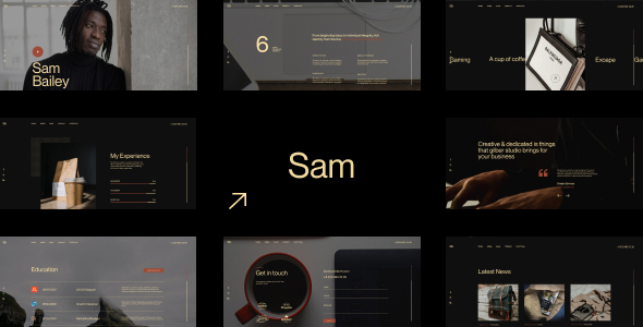 Sam Bailey v1.0 - Personal CV/Resume WordPress Theme