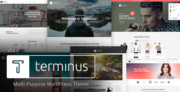 Terminus v1.4.4 - Responsive Multi-Purpose WordPress Theme