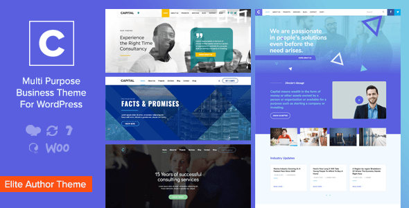 Capital v2.0 - Multi Purpose Business WordPress Theme