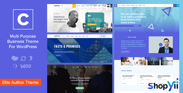 Capital v2.4 - Multi Purpose Business WordPress Theme