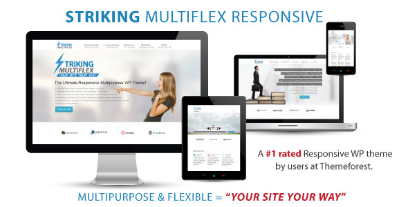 Striking v2.1.6 - Themeforest MultiFlex & Ecommerce Theme