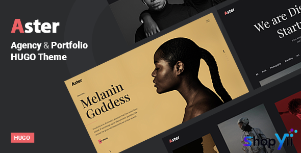 Aster v1.0 - Creative Agency Portfolio Hugo Theme