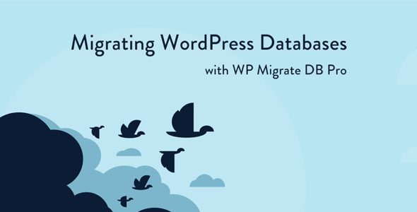 WP Migrate DB Pro 2.7.3 – Migrating WordPress Databases